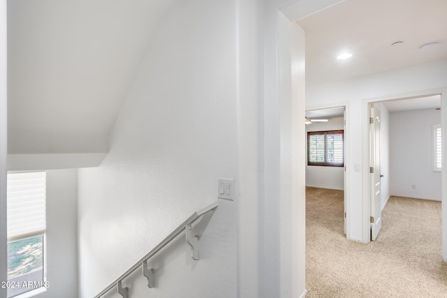 stairway featuring carpet floors and ceiling fan