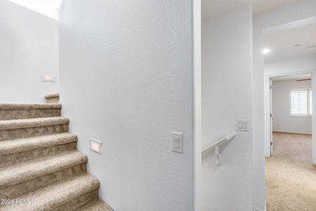 staircase featuring carpet flooring