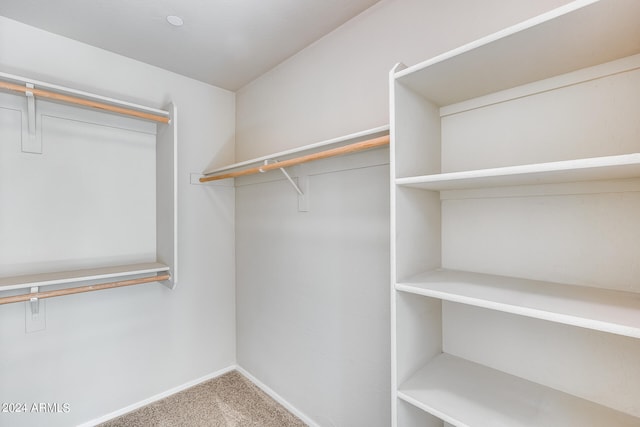 spacious closet featuring carpet flooring