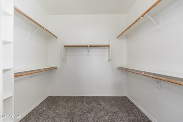 spacious closet with dark colored carpet