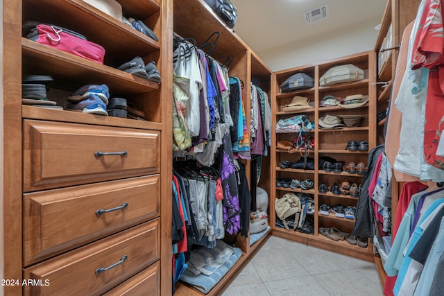 view of spacious closet