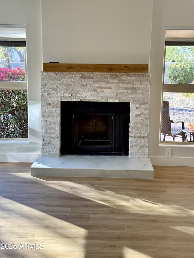 details with wood-type flooring and a stone fireplace