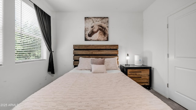 14870 W Encanto Blvd Unit 1059, Goodyear, AZ 85395 - bedroom featuring carpet flooring