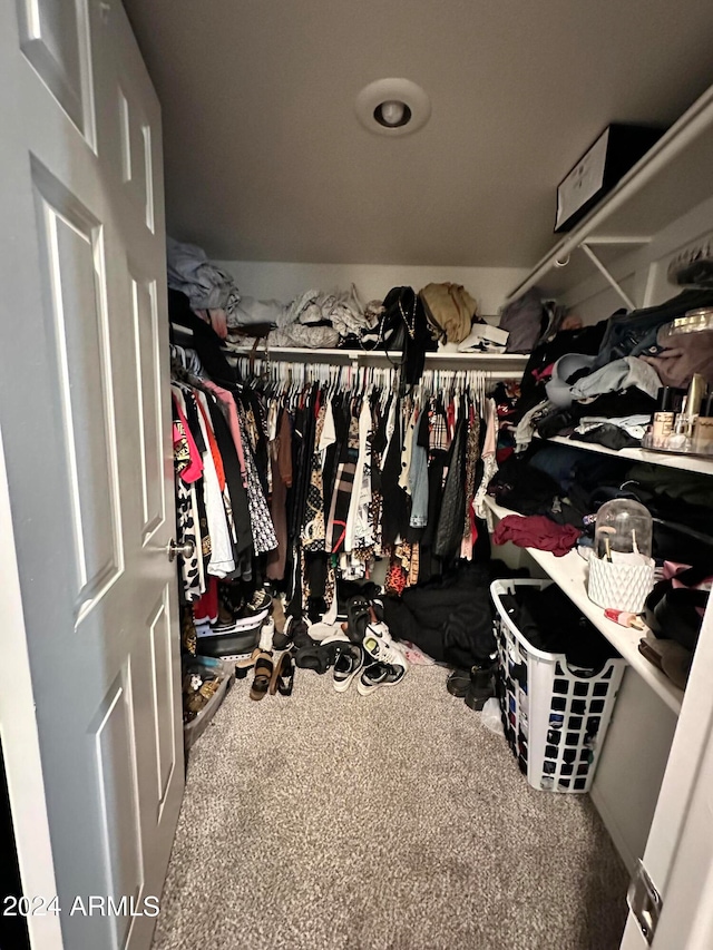 walk in closet featuring carpet floors