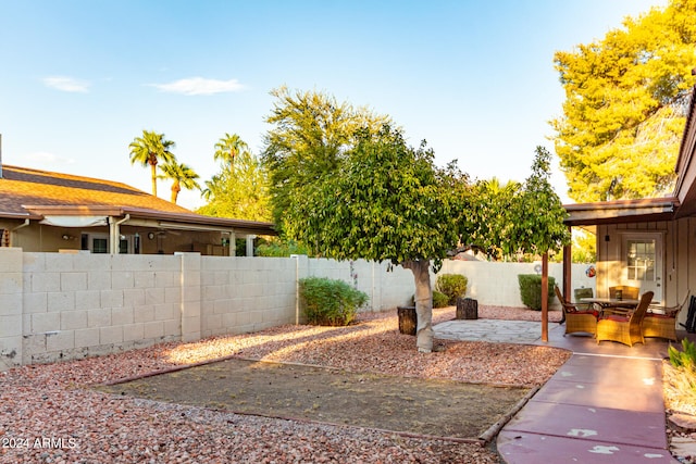 view of yard featuring a patio area