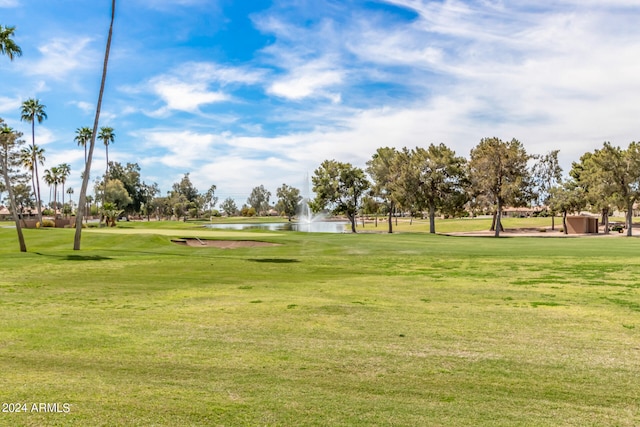 view of community featuring a lawn