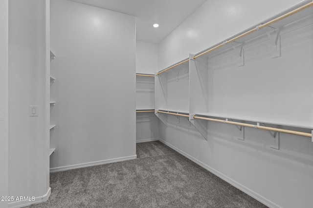 12332 W Parkway Ln, Avondale, AZ 85323 - walk in closet featuring carpet