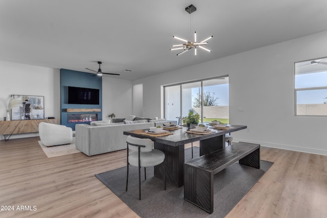 dining room featuring ceiling fan with notable chandelier and light hardwood / wood-style floors