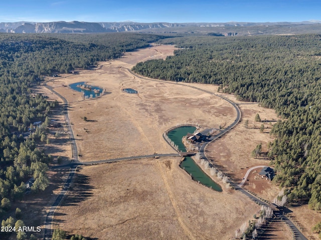 aerial view with a mountain view