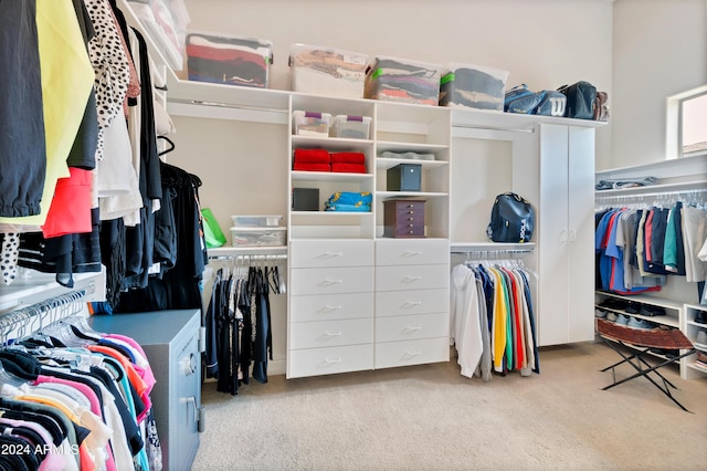 spacious closet with carpet