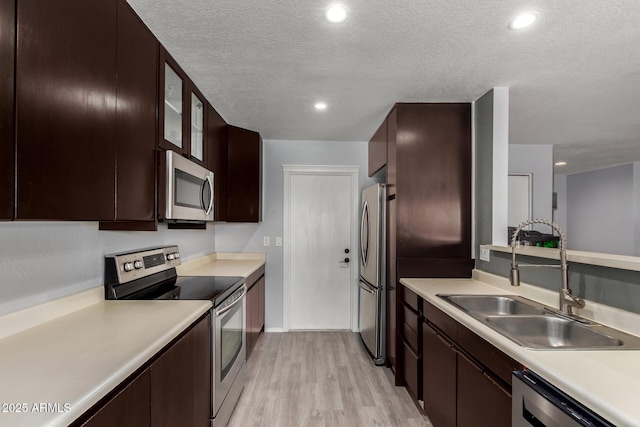 5601 W Whitten St, Chandler, AZ 85226 - kitchen featuring dark brown cabinetry, appliances with stainless steel finishes, a sink, light wood-style floors, and light countertops
