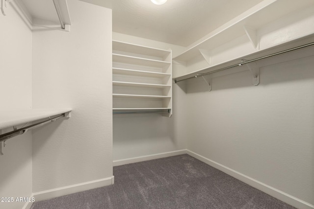 6632 W Saguaro Park Ln, Glendale, AZ 85310 - walk in closet featuring dark carpet