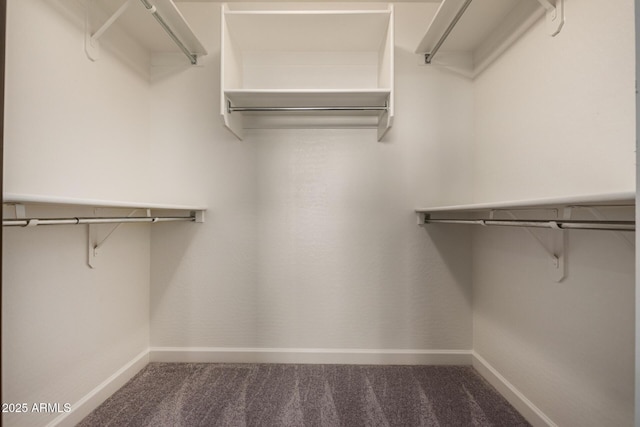6632 W Saguaro Park Ln, Glendale, AZ 85310 - walk in closet with carpet flooring