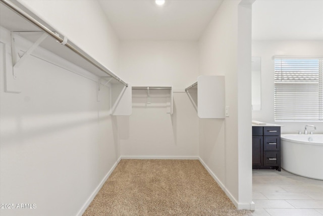 walk in closet featuring light carpet