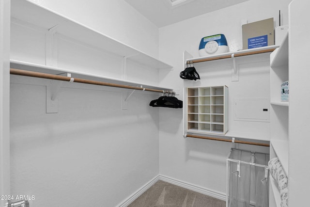 walk in closet featuring carpet floors