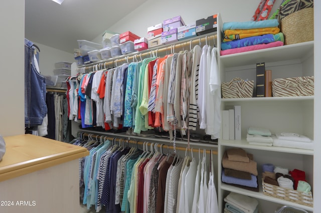 view of spacious closet