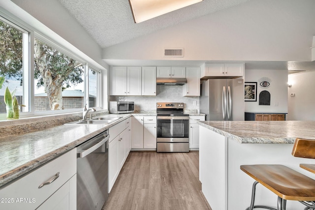 kitchen with visible vents, a sink, stainless steel appliances, vaulted ceiling, and under cabinet range hood