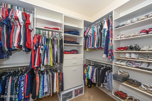 walk in closet featuring carpet flooring