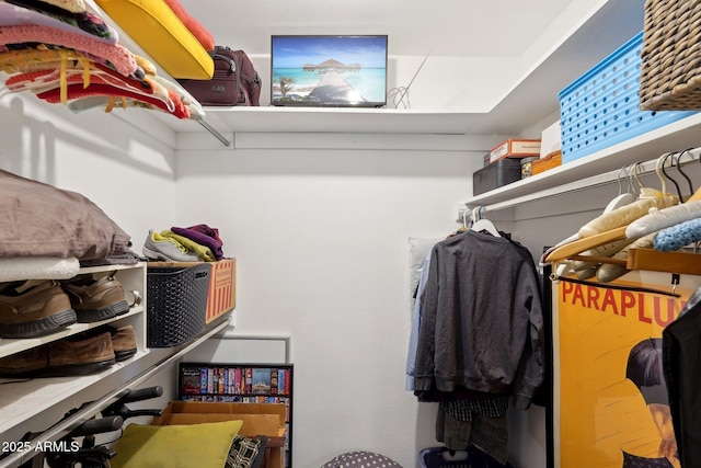 view of walk in closet