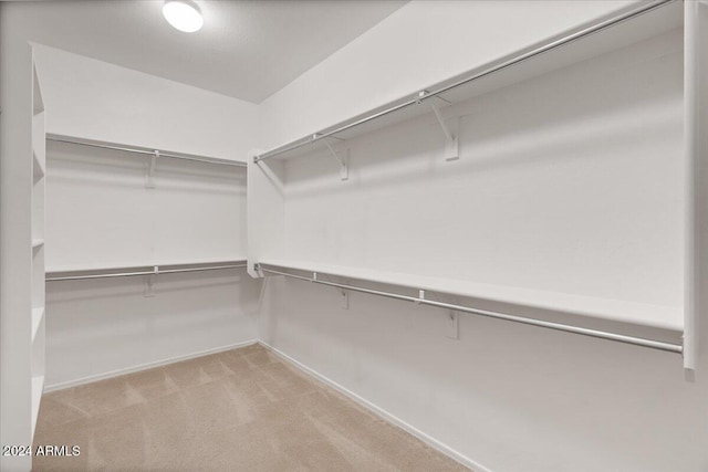 walk in closet featuring light colored carpet