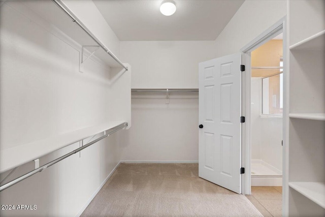 walk in closet featuring light carpet