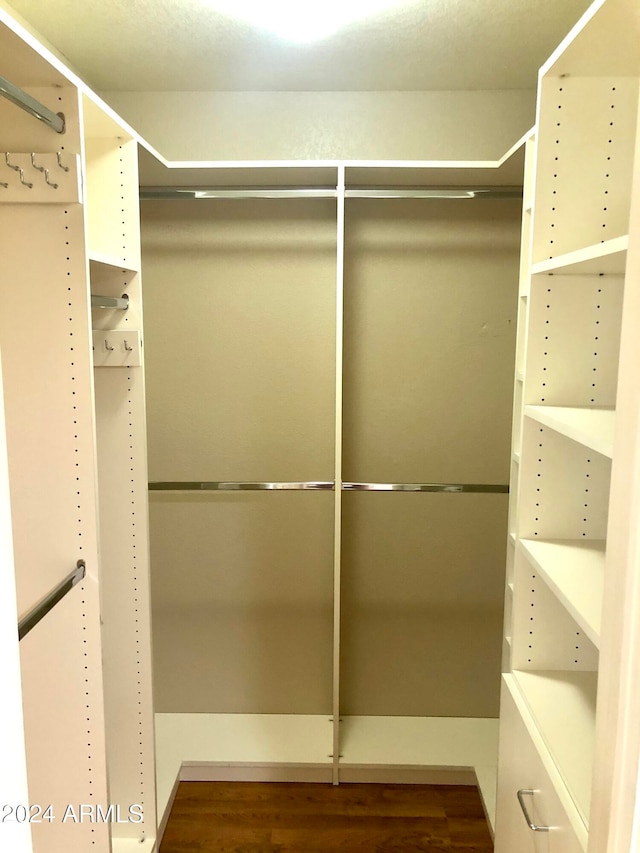 spacious closet featuring dark wood-type flooring