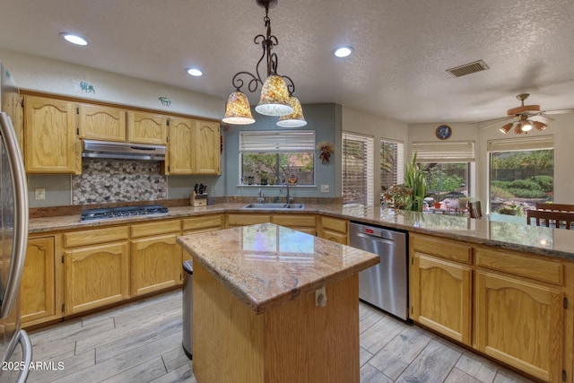kitchen with under cabinet range hood, stainless steel appliances, a sink, and plenty of natural light