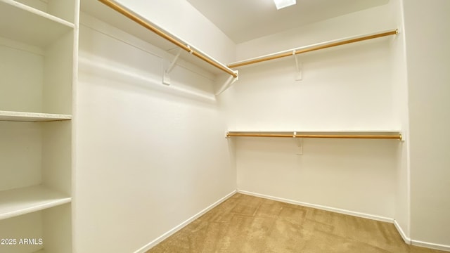 7425 W Crown King Rd, Phoenix, AZ 85043 - walk in closet with carpet floors