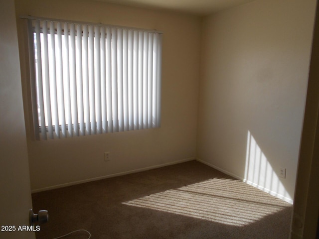 spare room with a wealth of natural light, baseboards, and carpet floors