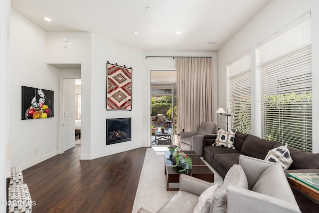 living room with dark hardwood / wood-style floors