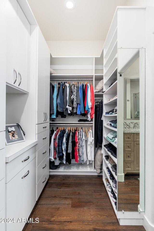 walk in closet with dark hardwood / wood-style flooring