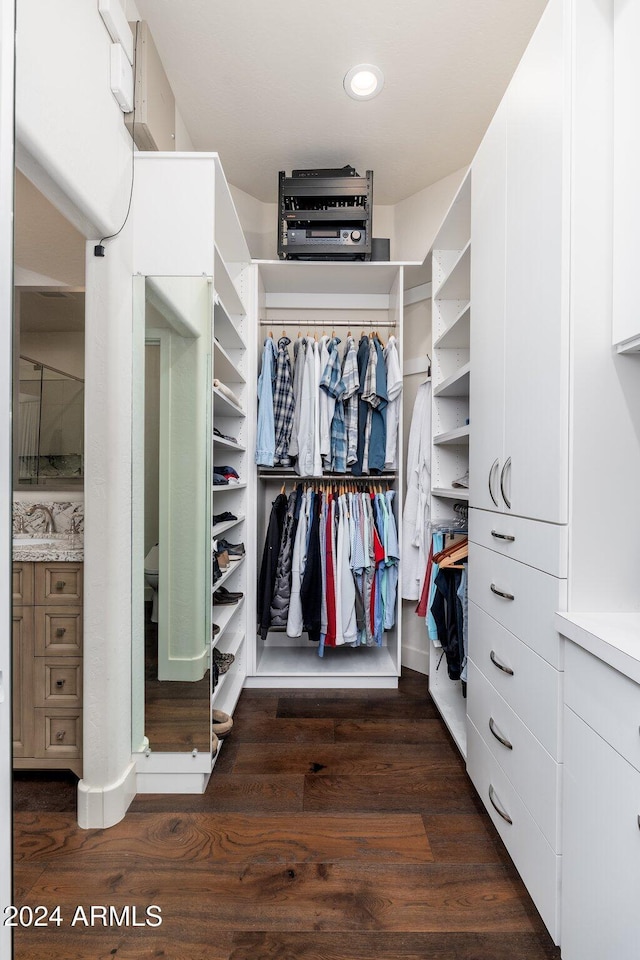 spacious closet featuring dark hardwood / wood-style floors