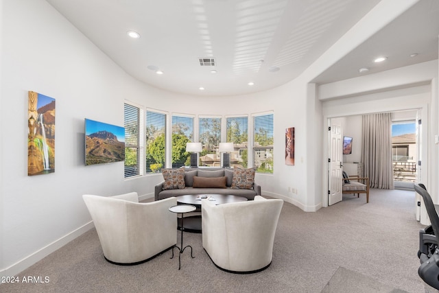 carpeted living room with a wealth of natural light