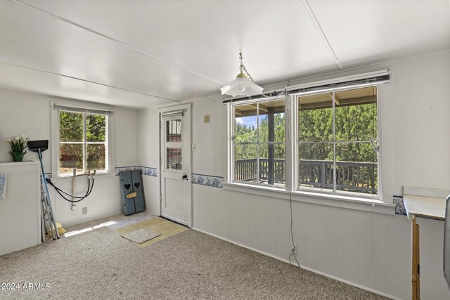 unfurnished dining area with light colored carpet