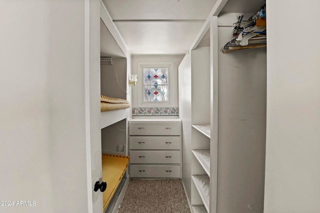 spacious closet featuring light colored carpet