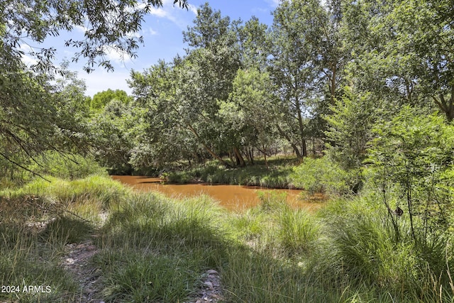 view of local wilderness with a view of trees