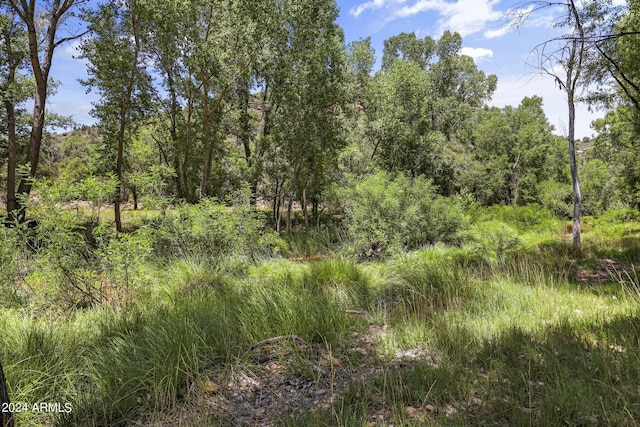 view of landscape with a forest view