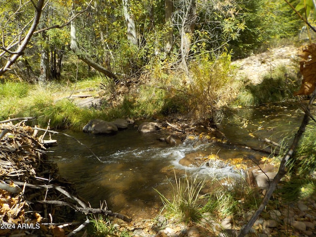 view of local wilderness