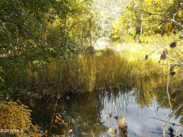 water view featuring a forest view