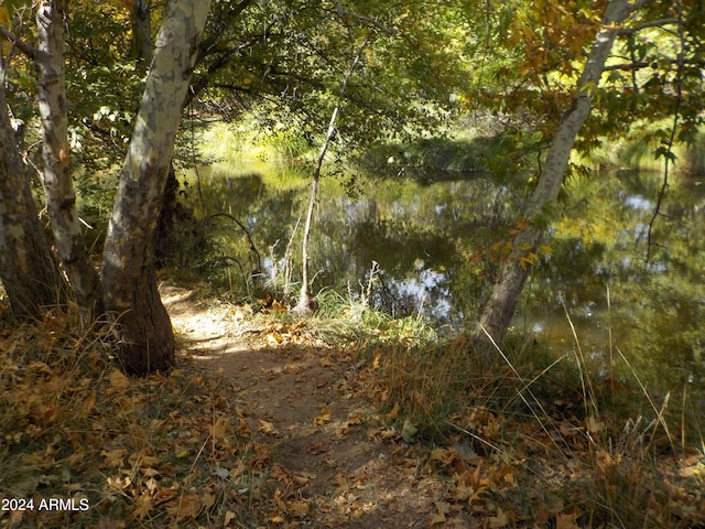 view of local wilderness with a water view