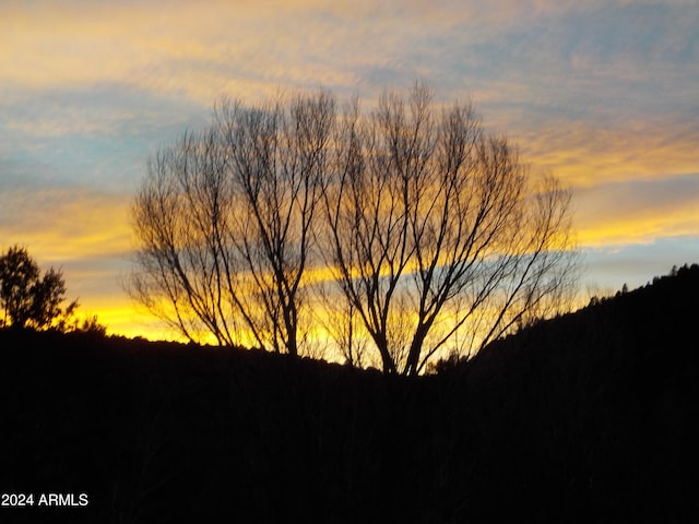 view of nature at dusk