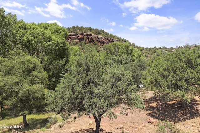 view of landscape featuring a wooded view