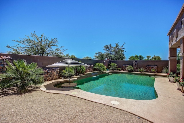 view of pool featuring a patio area