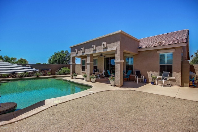 view of swimming pool with a patio and ceiling fan