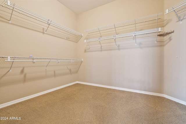 spacious closet featuring carpet flooring