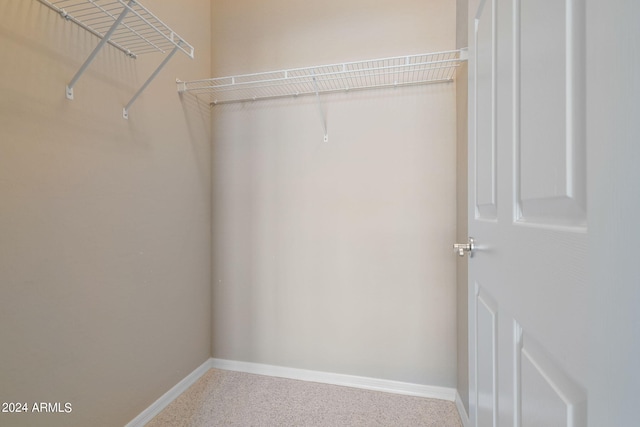 walk in closet featuring carpet flooring