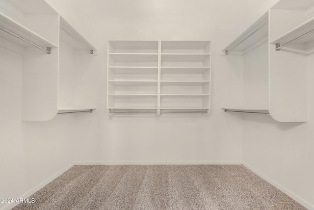 walk in closet with carpet flooring