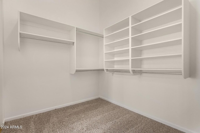 walk in closet with carpet flooring