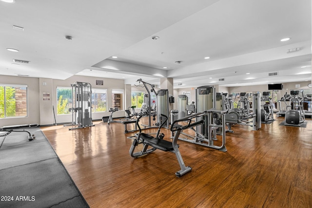 workout area with hardwood / wood-style floors and a wealth of natural light