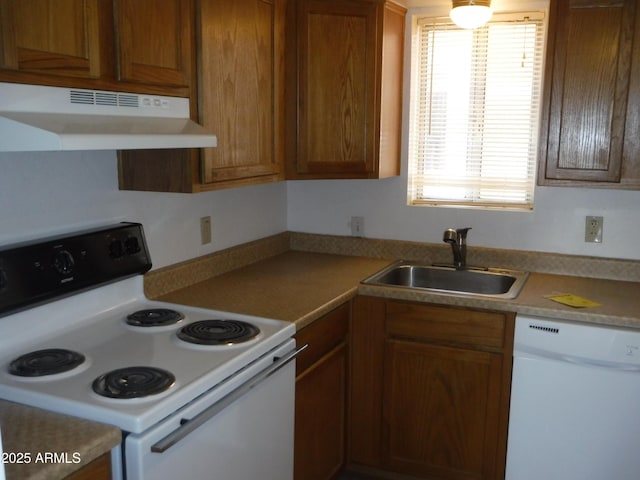 kitchen featuring under cabinet range hood, white appliances, brown cabinets, and a sink